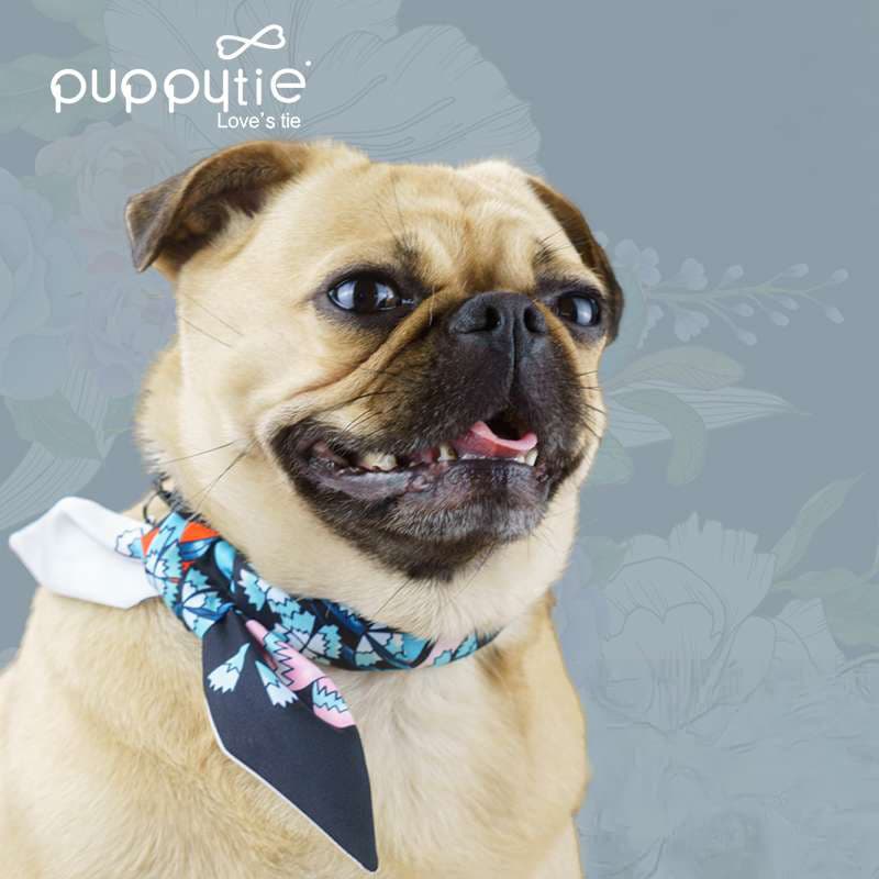 ペット用首輪  ペット用おしゃれスカーフ首輪