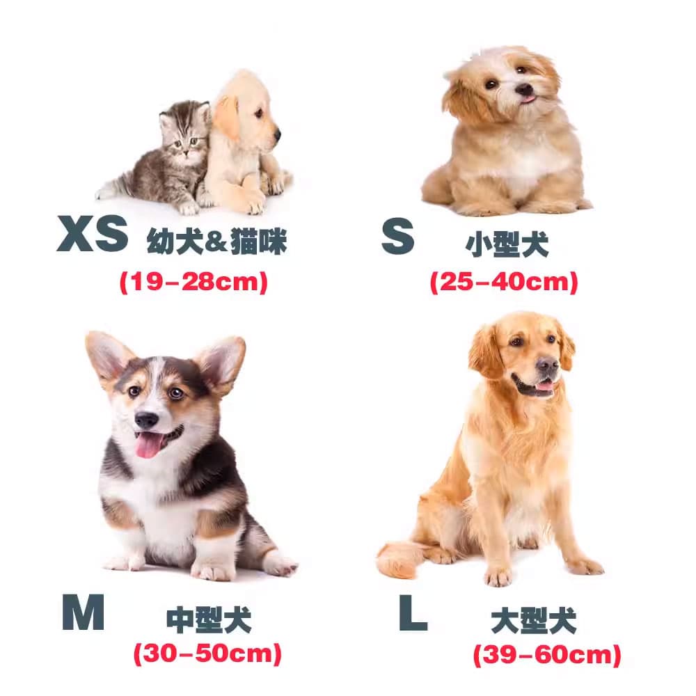 ペット用首輪 花柄フリルペット首輪セット
