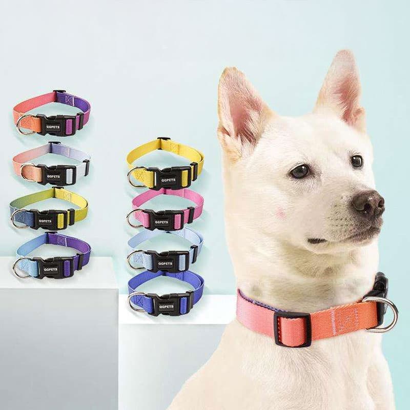 ペット用首輪 ふわもこ和風ペット首輪セット