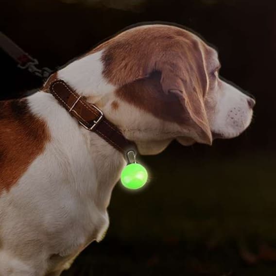 ペット用首輪 夜道も安心！愛犬用発光ペンダント