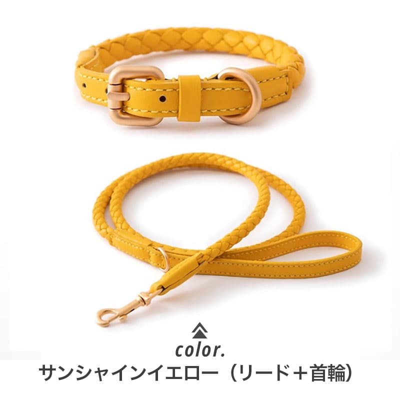 ペット用首輪 ペット用編み込み首輪セット