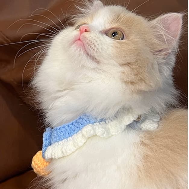 ペット用首輪  もこもこにゃんこのあったかマフラー