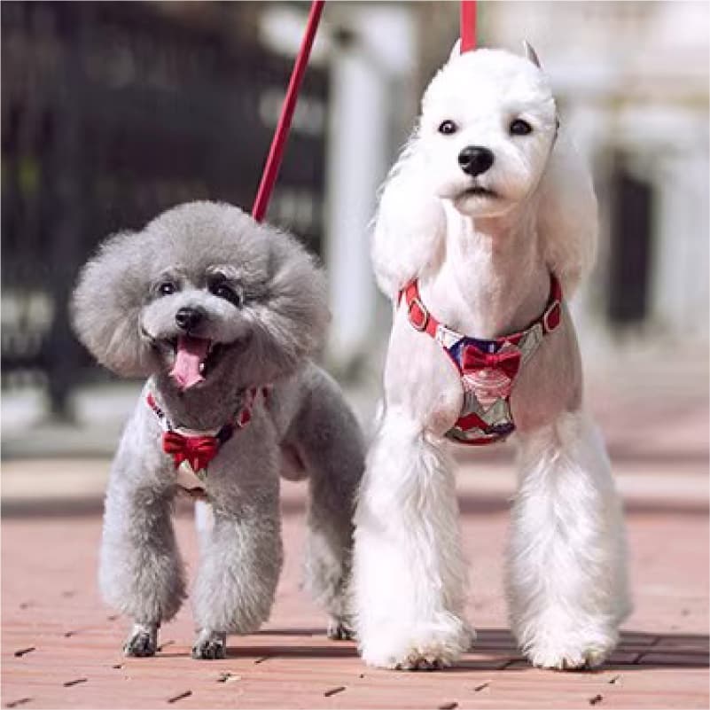 可愛いリボンと和風デザインが特徴的な胸当て式ハーネス！犬用リード 小型犬用ロープ 犬用ウォーキングロープ ベストスタイル コーギー ペット ハーネス