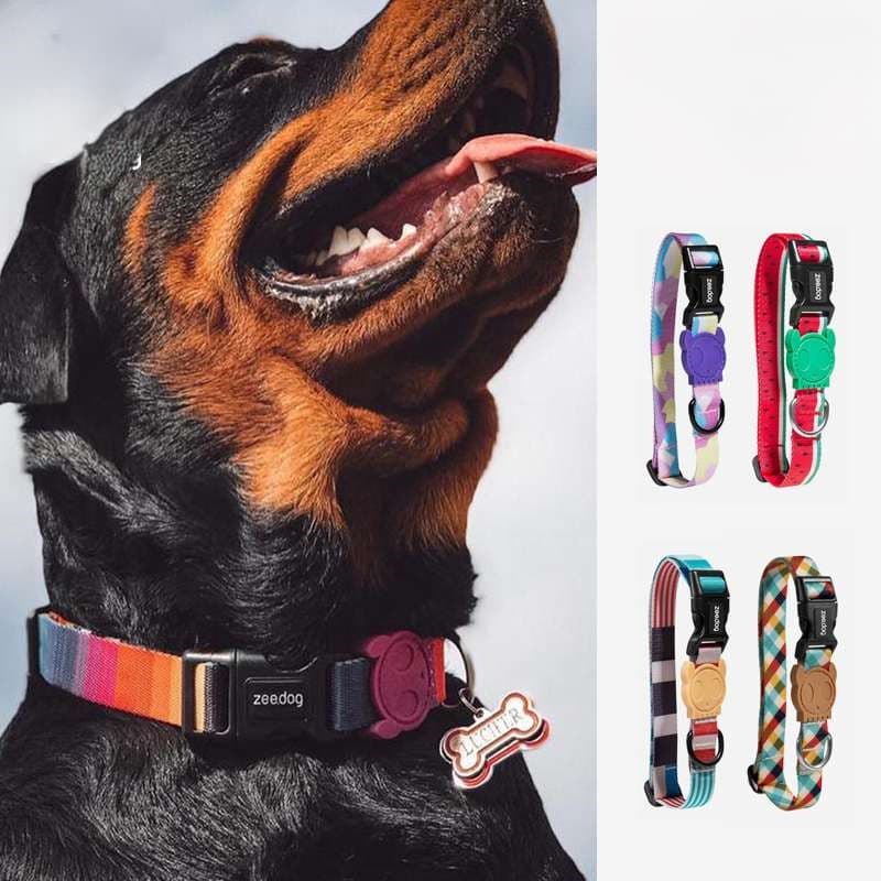 ペット用首輪  大型犬用おしゃれ首輪コレクション