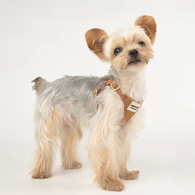 体重3キロ以下の超小型犬向けの本革製ハーネス！柔らかい素材で肌触りが良く、着脱が簡単。高級感のある縫製で、愛犬の動きを優しく包み込みます！