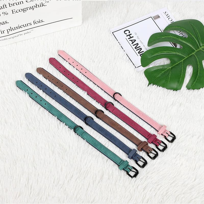 ペット用首輪  ペットの名前入りおしゃれな首輪