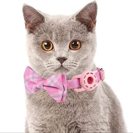 猫の安全を守る！シュシュ製の首輪おすすめ9選！柔らかな素材で首への