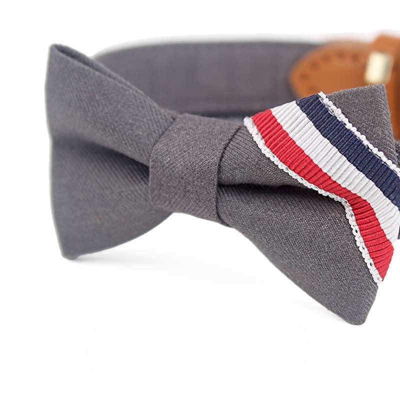 ペット用首輪  リボン付きおしゃれな首輪