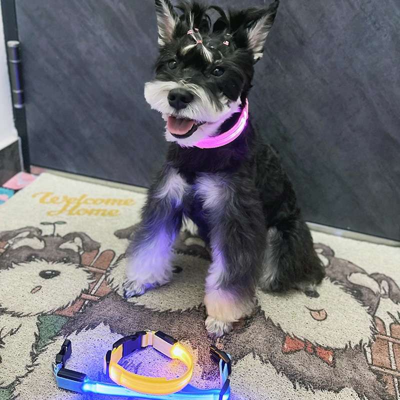 ペット用首輪  光る安全ペット首輪