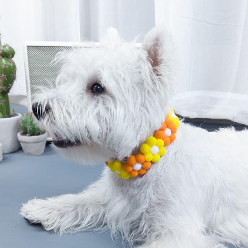 ペット用首輪 ふわふわお花の首輪