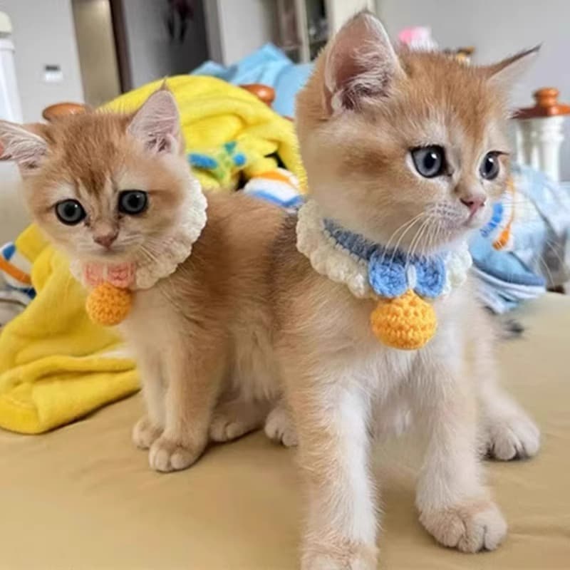ペット用首輪 もこもこ鈴つき猫首輪