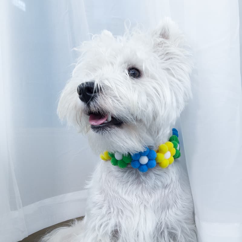 ペット用首輪 ふわふわお花の首輪