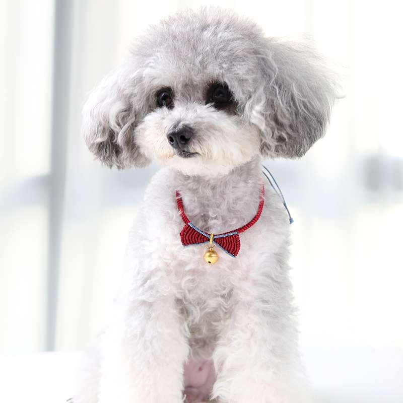 ペット用首輪  ふわもこわんちゃんのリボン首輪