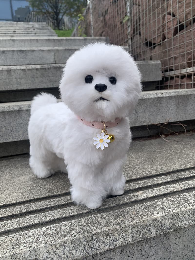 ペット用首輪 花飾り優雅な小型犬用首輪