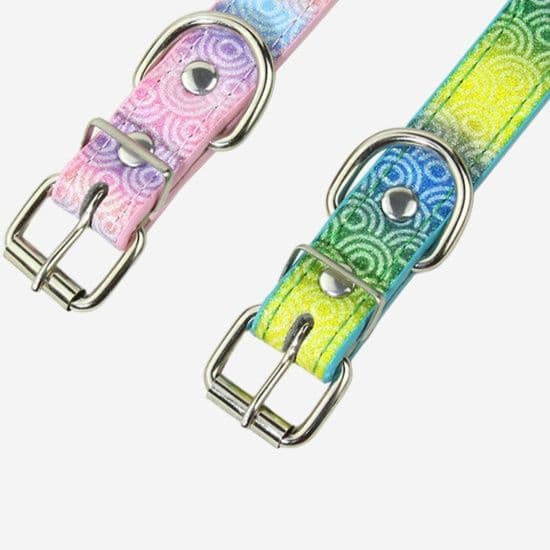 ペット用首輪 グラデーション文字装飾首輪
