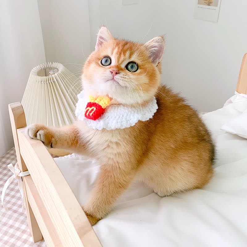 ペット用首輪 にゃんこの幸せ招福首輪
