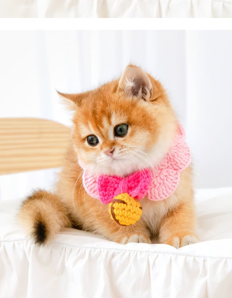 ペット用首輪 ねこちゃんのおめかし首輪
