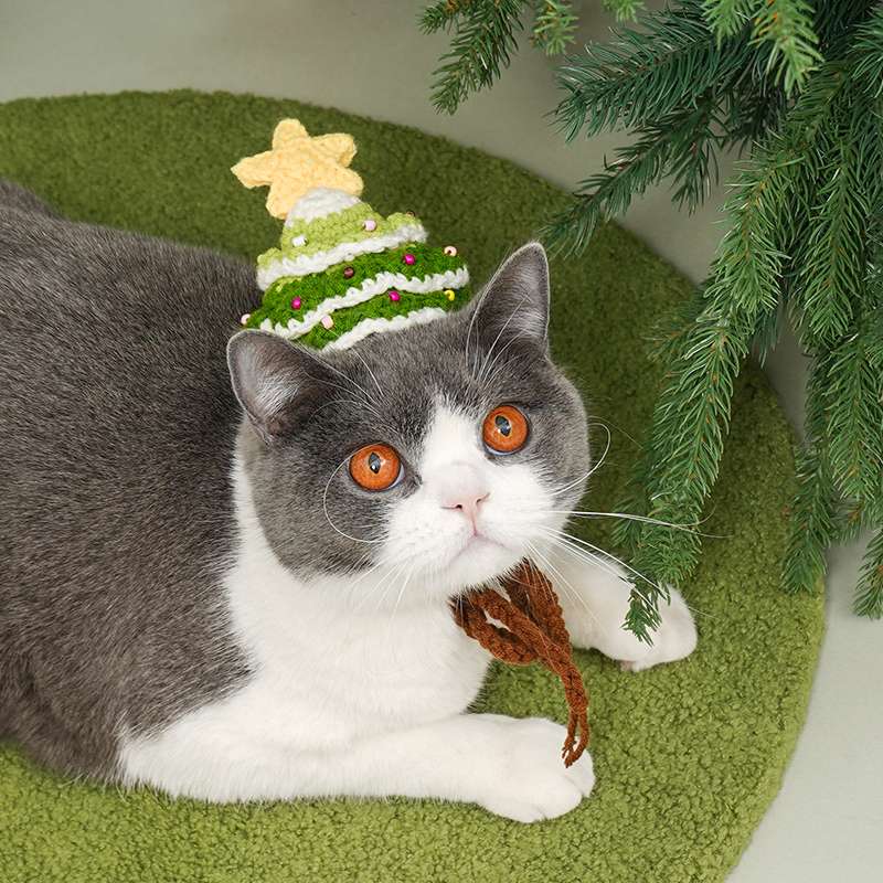 ペット用首輪 クリスマスツリー帽子型首輪