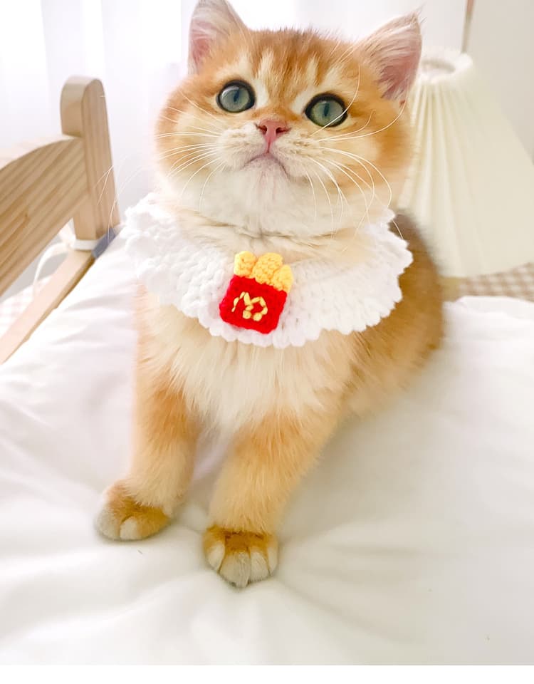 ペット用首輪 にゃんこの幸せ招福首輪