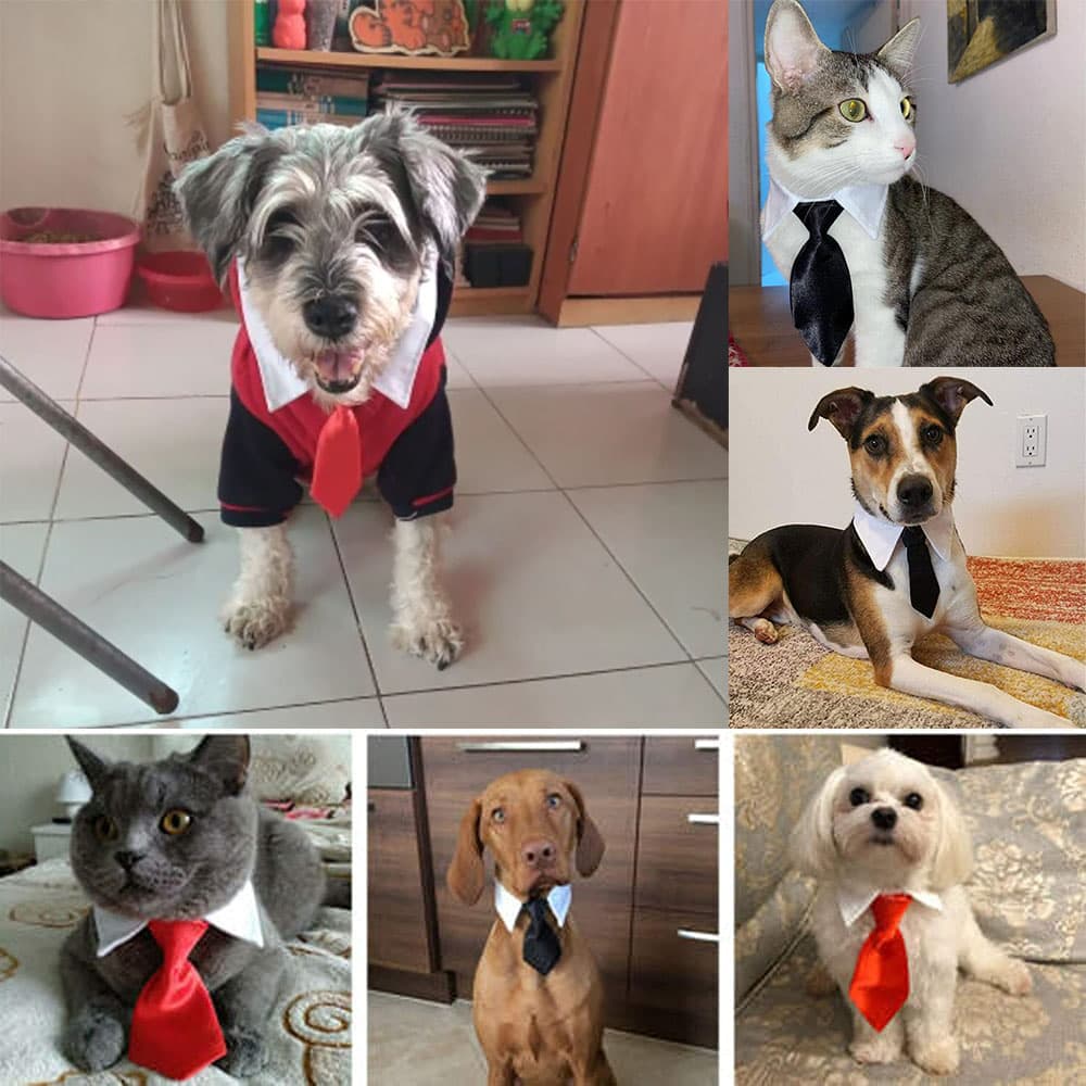 ペット用首輪 犬猫兼用 おしゃれネクタイ 小型犬 猫用 フォーマル首輪